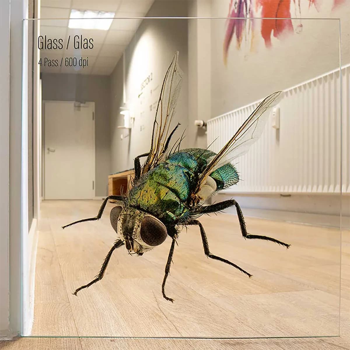 High-resolution 600dpi wall printing on glass showing detailed insect by InnoPrint KSA