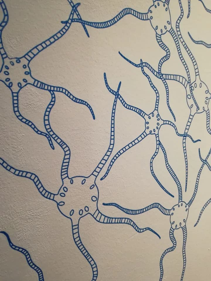 Healthcare Facilities