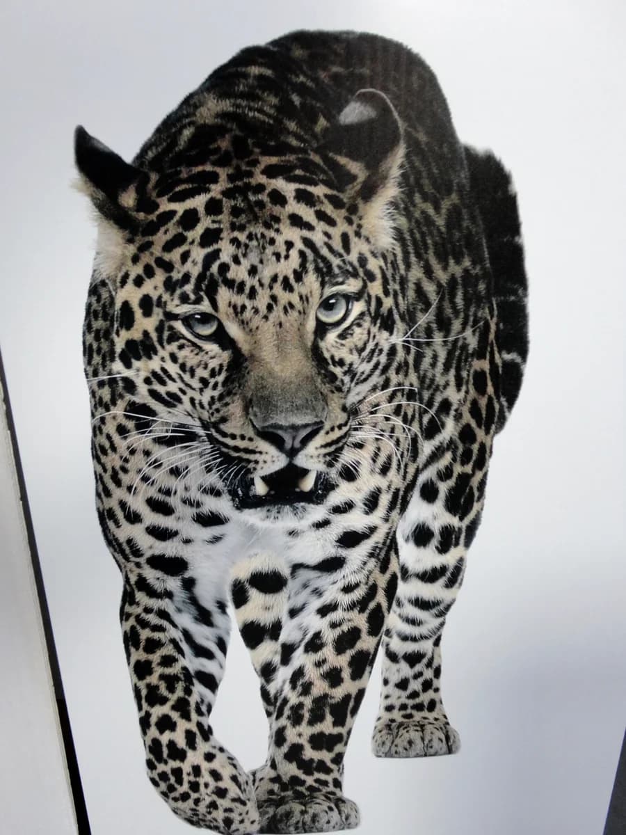 Leopard art home office