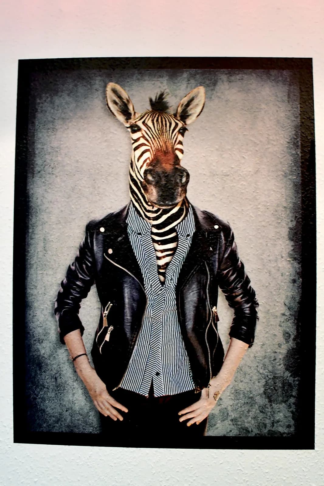 Human animal art wall